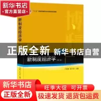 正版 新制度经济学 卢现祥,朱巧玲主编 北京大学出版社 97