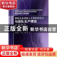 正版 钢铁企业技能人才团队胜任力与团队生产绩效关系研究 韩提文