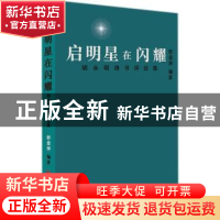 正版 启明星在闪耀:胡永明诗书评论集 舒爱萍编著 中国文联出版社