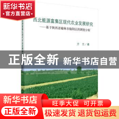 正版 西北能源富集区现代农业发展研究:基于陕西省榆林市榆阳区的