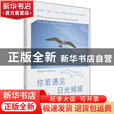 正版 你若遇见,日光倾城 阮靖 电子科技大学出版社 978756476144