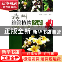 正版 梅州维管植物名录 廖富林,刁俊明编著 暨南大学出版社 9787