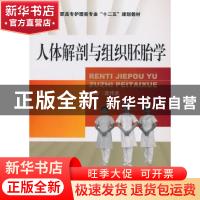 正版 人体解剖与组织胚胎学 庞传武 主编 中国医药科技出版社 978