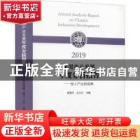 正版 2019中国产业发展年度分析报告:投入产出的视角 芮明杰,王小