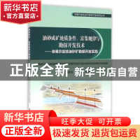 正版 油砂成矿地质条件、富集规律与勘探开发技术:准噶尔盆地油砂