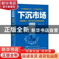 正版 下沉市场(渠道建立用户分析与本地化运营) 单兴华 人民邮电