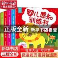 正版 婴儿感知训练书(全4册) 青葫芦编绘 广东人民出版社 97872