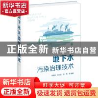 正版 地下水污染治理技术(精) 李保安,张立红,刘军 化学工业出版