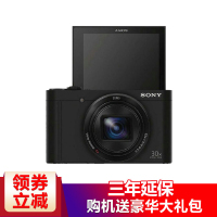 索尼（SONY）数码相机DSC-WX500/BC CN1 黑色CMOS 7.62 锂电池实惠礼包版