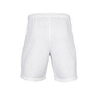 耐克（NIKE） 17-18 国际米兰官方客场短裤 白色