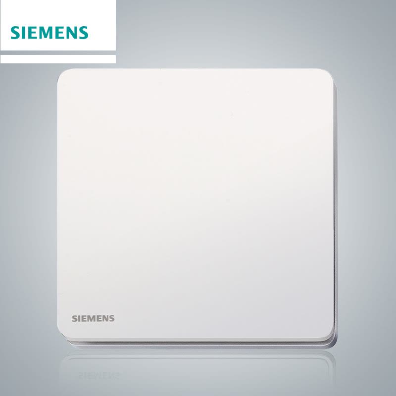 [官方旗舰店]西门子(SIEMENS)开关插座系列86型面板睿致钛银一开单控开关图片