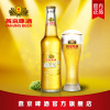 YANJING BEER 燕京啤酒8度纯生瓶装 黄啤酒300ml*6瓶 整箱装 生产日期：17年12月，介意慎拍