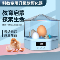 孵蛋器1枚小鸡水床孵化器小型家用型古达儿童孵化机迷你全自动孵化箱