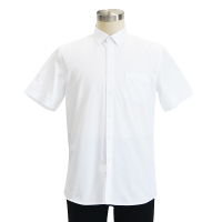 燕舞BD2AX722105Z2F男短袖衬衫38-45码(计价单位:件)白色