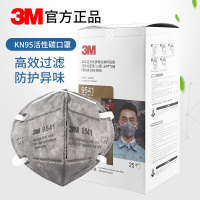 3M 9541/9542口罩 活性炭口罩KN95防雾霾PM2.5防装修异味有机气体防粉尘25只装