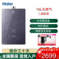 海尔(Haier)燃气热水器16L家用水伺服恒温家用速热变频智能分段密闭稳燃舱 五分段燃烧 JSQ31-16FA05U1