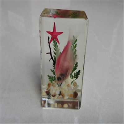 洋子(YangZi)人工琥珀摆件树脂包埋海洋标本蟹鱼螺虾生物教学创意礼物