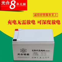 洋子(YangZi)硅能蓄电池小电瓶太阳能灯ups电梯门禁照明免维护12v12ah电池