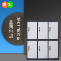 洋子(YangZi)新款小6 六门拆装柜矮柜钢制更衣柜健身房家用员工宿舍储物存包柜
