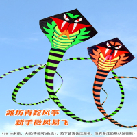 闪电客青蛇风筝微风易飞成人专用大型长尾蛇儿童卡通初学风争