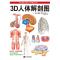 3D人体解剖图(日本东京大学教授出品、200个精密3D图例,权威专业、简明易懂,既适合专业医师参考,也适合家庭健康备用)
