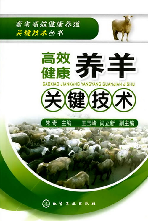 畜禽高效健康养殖关键技术丛书--高效健康养羊关键技术