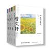 曹文轩经典品读书系(套装共4册)