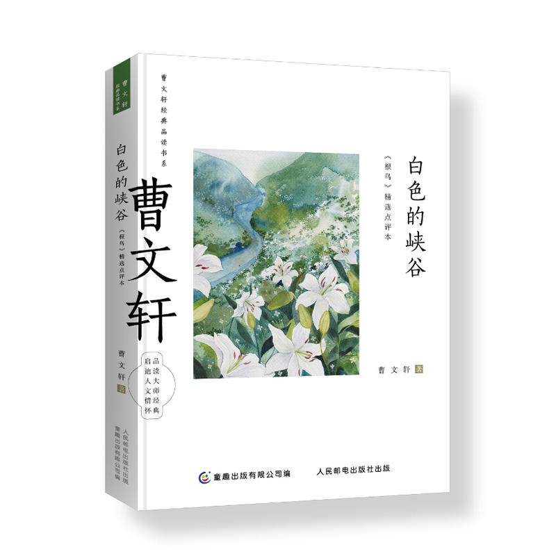 曹文轩经典品读书系(套装共4册)