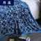 丹杰 夏季空调毯珊瑚绒毯子加厚法兰绒毛毯毛巾薄被子午睡床单双人盖毯 爱的城堡 1.8*2.0m