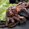 【活鲜】鲜活阿拉斯加帝王蟹6.8-7斤/只鲜活发货送吃蟹工具