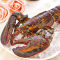 【鲜活】渔鼎鲜 鲜活进口波士顿龙虾一只 鲜活海鲜波龙顺丰冷链航空全国配送 海鲜水产 500g