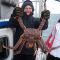 【活鲜】 鲜活阿拉斯加帝王蟹3.8-4斤/只 鲜活发货 送吃蟹工具