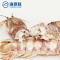 进口鲜活泰国公富贵虾1斤2-3个 野生大皮皮虾 濑尿虾 棘突猛虾蛄
