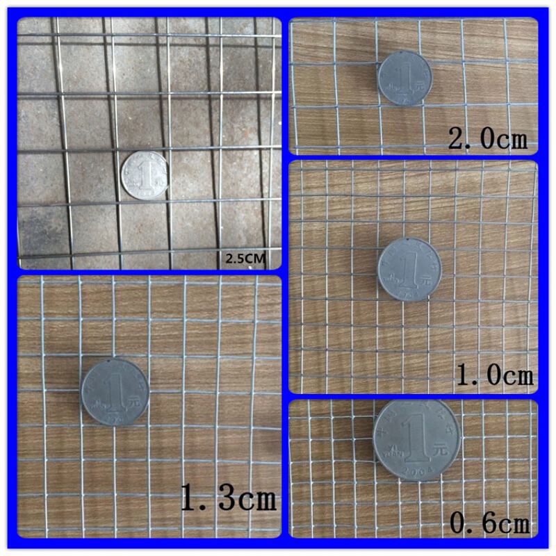 热镀锌铁丝网电焊网防护网围栏阳台鸟鸡笼鸽网养殖网家用