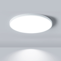 阿斯卡利(ASCARI)LED吸顶灯圆形防水卫生间浴室厨卫阳台卧室灯过道走廊灯