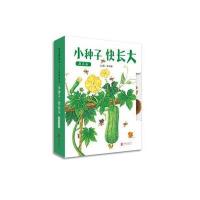 正版书籍 小种子快长大(蔬菜篇)—(启发绘本馆出品) 9787550293359 北京联