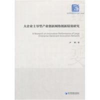 正版书籍 大企业主导型产业创新网络创新绩效研究(经济管理学术文库﹒经济