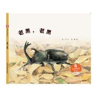正版书籍 中国原创图画书：老黑，老黑 9787507224740 中国中福会出版社