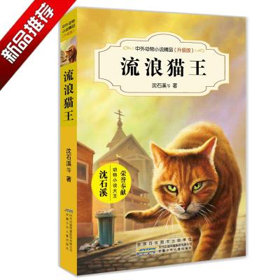 正版书籍 流浪猫王(升级版) 9787539799216 安徽少年儿童出版社