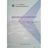 正版书籍 典型村镇饮用水安全保障适用技术 9787112203314 中国建筑工业出