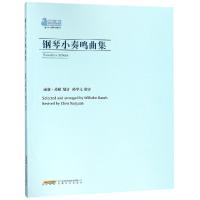 正版书籍 钢琴小奏鸣曲集 9787539653402 安徽文艺出版社