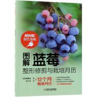 正版书籍 图解蓝莓整形修剪与栽培月历 9787111608592 机械工业出版社