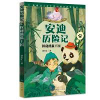 正版书籍 安迪历险记：探秘熊猫王国 9787501614370 天天出版社有限责任公