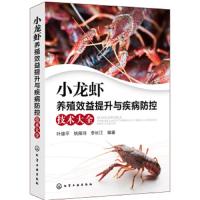正版书籍 小龙虾养殖效益提升与疾病防控技术大全 9787122324429 化学工业
