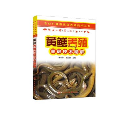 正版书籍 专业户健康高效养殖技术丛书--黄鳝养殖关键技术精解 97871223357