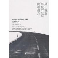 正版书籍 外出就业、半城市化与供给潜力--中国农村劳动力转移问题研究 978