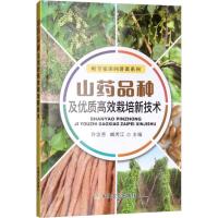 正版书籍 山药品种及优质高效栽培新技术(听专家田间讲课系列) 97871092522