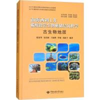 正版书籍 古生物地层/南海西科1井碳酸盐岩生物礁储层沉积学 9787562539827