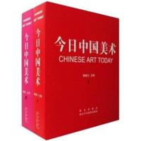 正版书籍 今日中国美术(套装共2册) 9787805012421 北京出版社，北京美术摄