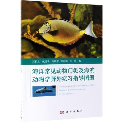 正版书籍 海洋常见动物门类及海滨动物学野外实习指导图册 9787030614704